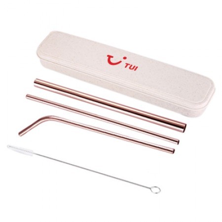 4-in-1 Rose Gold Stainless Steel Drinking Straw Gifts Set 01